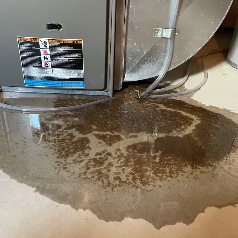 Appliance Leak Cleanup in Turnersville, NJ